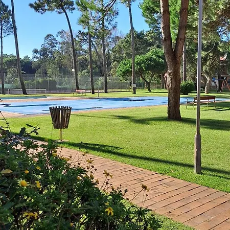 Little Paradise Al - *