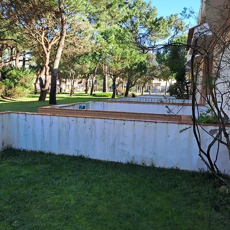 Little Paradise Al - *