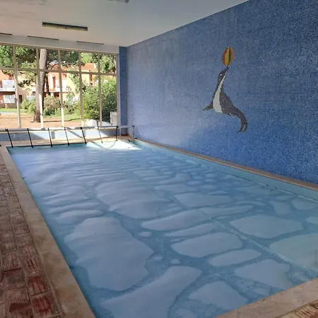 Little Paradise Al - *