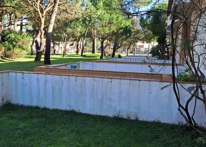 Little Paradise Al - *