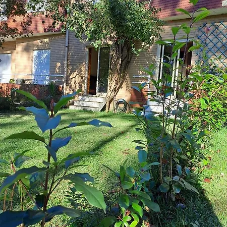 Little Paradise Al - Fao