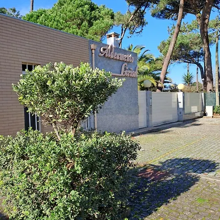 Little Paradise Al - Apartment