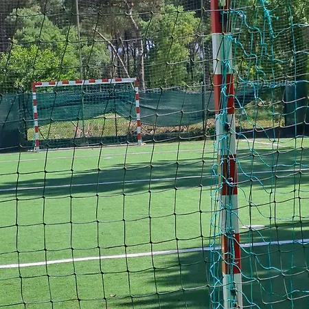 Apartman Little Paradise Al - *