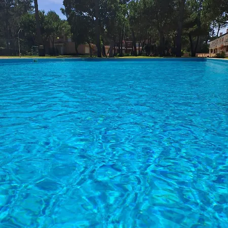 Apartament Little Paradise Al -